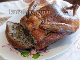 Качка фарширована гречаною кашею з потрохами 