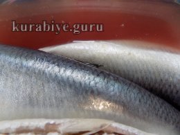 Оселедець пряного засолювання за ДТСУ