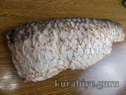 Фарширований короп запечений у духовці