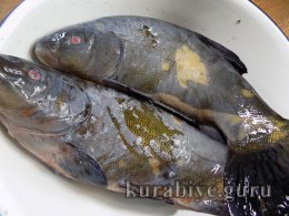 Лин смажений у паніровці 