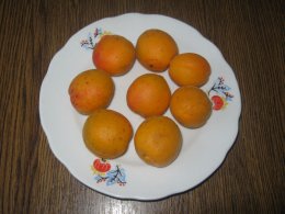 Закуска с творогом и абрикосами