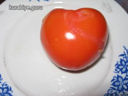жареный сыр рецепт с фото пошагово
