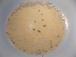 Быстрый хлеб без замеса с семечками